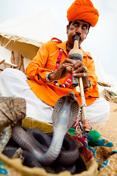 Jaipur, India - March 23, 2015: An elderly male musican in traditional colorful clothing is performing traditional music with a flute during the famous Gangaur Festival in Jaipur, Rajasthan. 