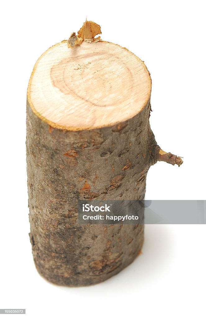 log dich - Lizenzfrei Holzstamm Stock-Foto