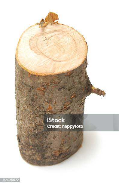 Log Dich Stockfoto und mehr Bilder von Holzstamm - Holzstamm, Stamm, Holz