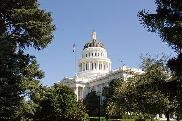 istock California State Capitol Building Surrounded By Trees 155035085