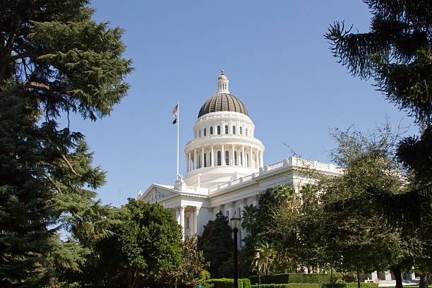 Cтоковое фото Калифорнийский государственный Капитолий Здание, окруженной деревьями