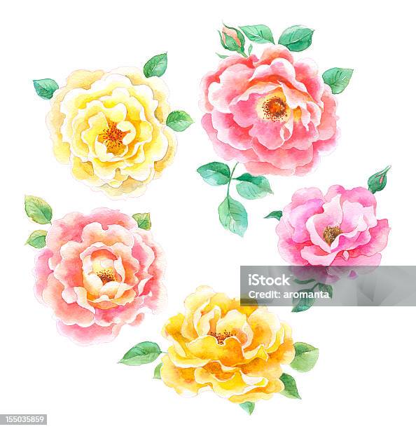 Ilustración de Acuarela Hermosas Rosas y más Vectores Libres de Derechos de Pintura de acuarela - Pintura de acuarela, Rosa - Flor, Amarillo - Color