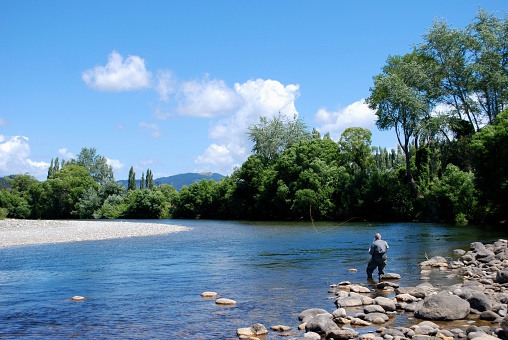 A Fisherman flicks his rod out to the Motueka River, in the Tasman Region of New Zealand. 

The Motueka River is one of New Zealand’s best brown trout fishing areas. The river starts in the Nelson Lakes National Park and is joined on its journey to the sea by a number of rivers from the nearby Kahurangi National Park. It has many deep clear pools between it's banks, fringed with overhanging vegetation. 

The focus is on the rocks at the front of the photo.