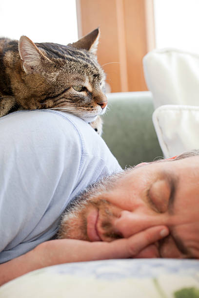 istock man and old cat: have faith in / sleeping 155036544