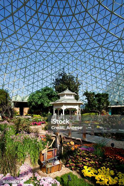 Large Greenhouse Stock Photo - Download Image Now - Greenhouse, Milwaukee - Wisconsin, Flower