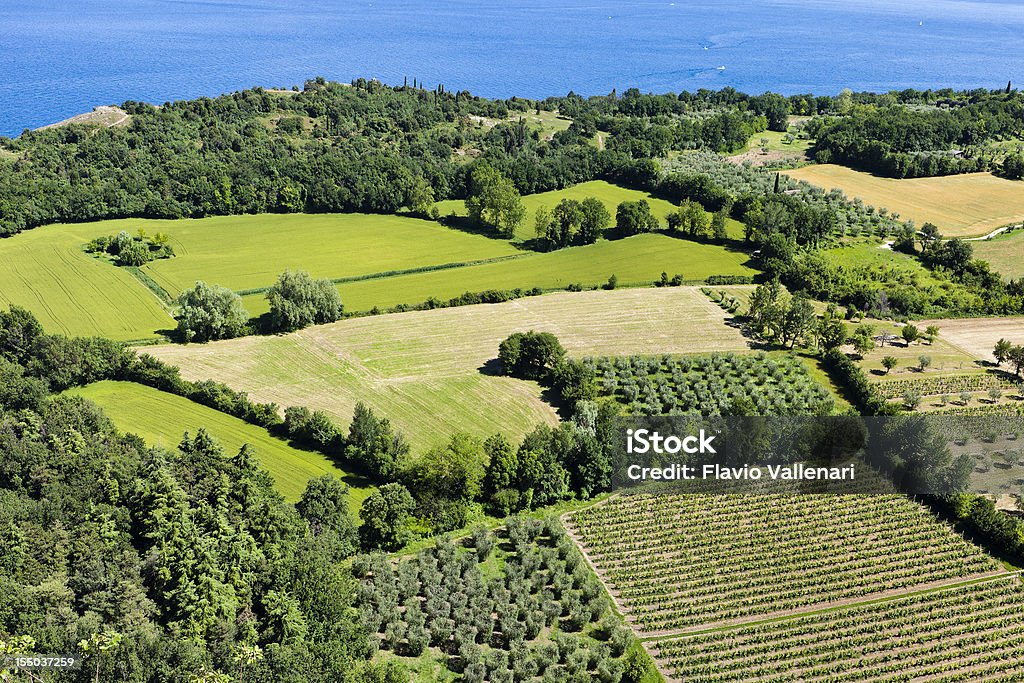 Campagne par dessus - Photo de Beauté de la nature libre de droits