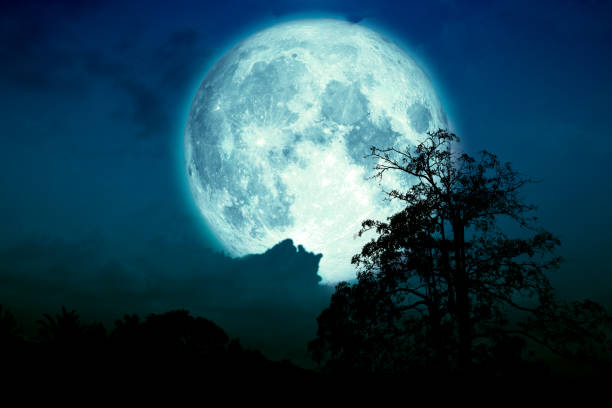 super blauer erdbeermond zurück auf wolke und baum auf dem feld und nachthimmel - full moon moon lunar eclipse red stock-fotos und bilder