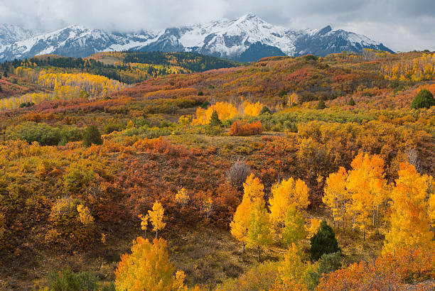 istock Colorful Colorado at it's Best! 155039183