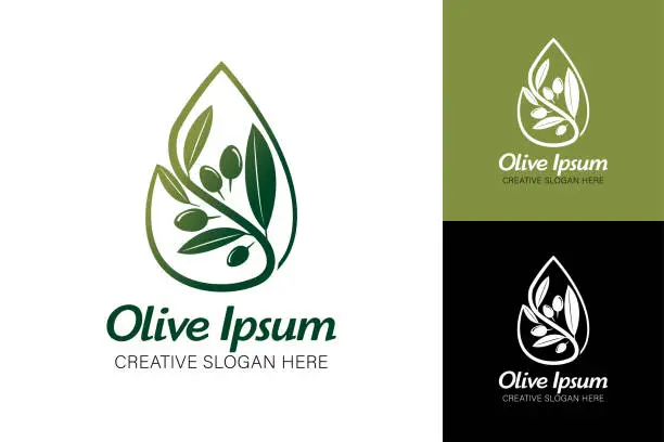 Vector illustration of Drop Olive Oil and Leaves Symbol Emblem Design Template