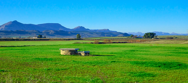 Daytime scene of agriculture in Spain