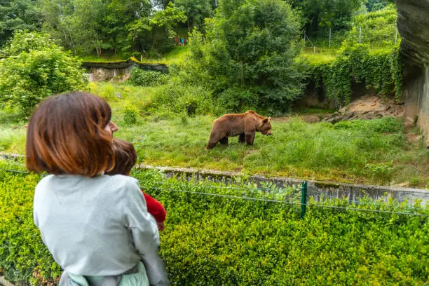 Photo of A mother with her son visiting a brown bear in a park in the municipality of Borce in the French Pyrenees