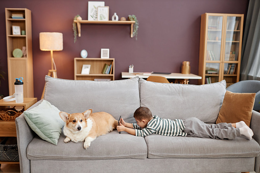 Portrait of little boy using tablet playing mobile games while laying on sofa with dog, copy space