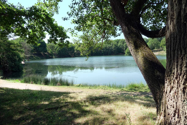istock Amsterdamse Waterleiding Duinen 1550444618