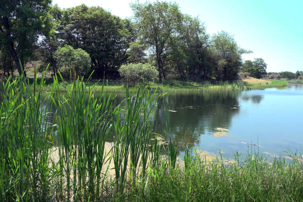 istock Amsterdamse Waterleiding Duinen 1550446300