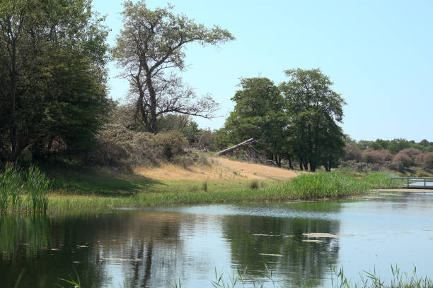 istock Amsterdamse Waterleiding Duinen 1550446851