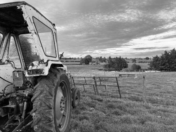 istock An abandoned old tractor in a field 1550454704