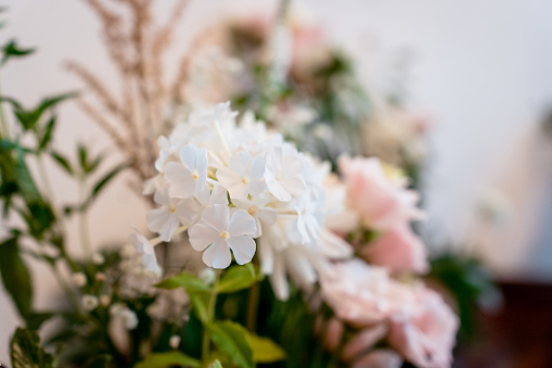 Pretty white, pink and green wedding flowers for bride and groom
