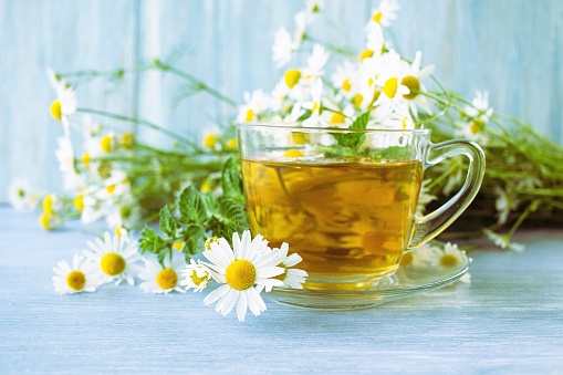 Tea from fresh chamomile flowers, mint, in a cup, on a wooden table, against the background of bouquets of fresh chamomile flowers