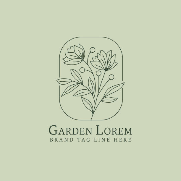 ilustrações, clipart, desenhos animados e ícones de emblema minimalista orgânico botânico com elementos vegetais - tratamento botânico de spa
