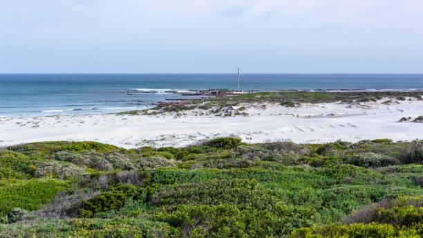 istock Beach Atlantic Ocean Crayfish Factory Witsands Landscape 1550530629