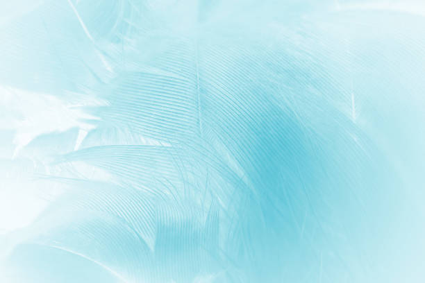 istock Beautiful  blue turquoise vintage color trends feather pattern texture pastel background 1550568961