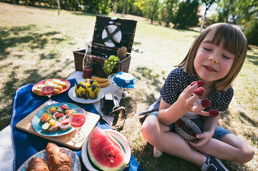 Portrait of happy child enjoying picnic. Fruits. Healthy food. Vegetarian food. Raspberry.