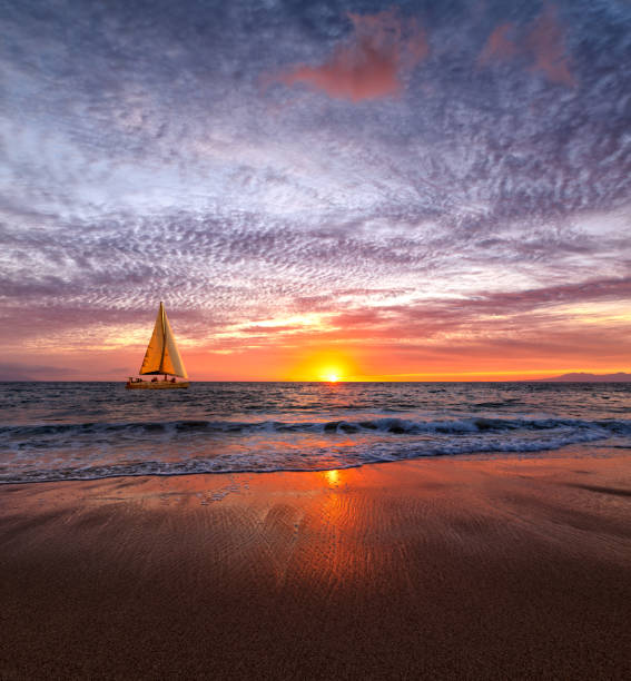 istock Sunset Sailboat Ocean Beautiful Nature Landscape Vertical 1550592349