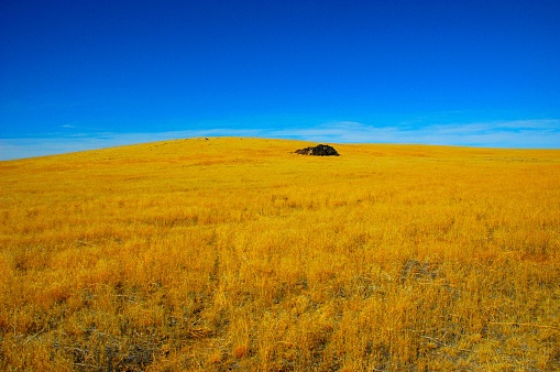 Blue sky over the yellow grass field in South of Bruno, Idaho, in the Owahee Wildlife Refuge