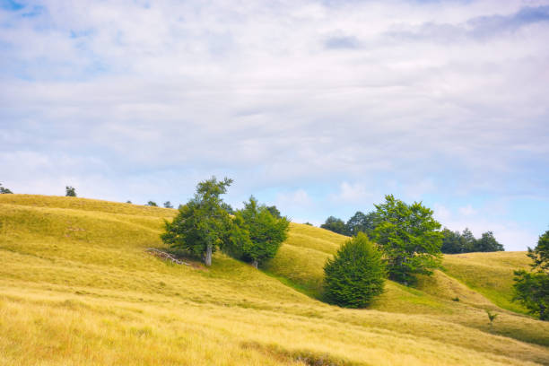 istock nature scenery with hills and meadows 1550651173