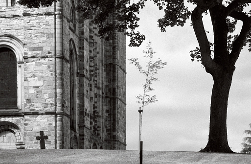 New life (a sapling) and end of life (a tombstone cross). Cathedral, Durham, England. Focus on the tree on the right. Some film grain visible (scan from Ilford SFX 200)
[url=file_closeup.php?id=10744217][img]file_thumbview_approve.php?size=1&id=10744217[/img][/url] [url=file_closeup.php?id=4956394][img]file_thumbview_approve.php?size=1&id=4956394[/img][/url] [url=file_closeup.php?id=16683402][img]file_thumbview_approve.php?size=1&id=16683402[/img][/url] [url=file_closeup.php?id=18377294][img]file_thumbview_approve.php?size=1&id=18377294[/img][/url] [url=file_closeup.php?id=18961800][img]file_thumbview_approve.php?size=1&id=18961800[/img][/url] [url=file_closeup.php?id=21183113][img]file_thumbview_approve.php?size=1&id=21183113[/img][/url] [url=file_closeup.php?id=21931839][img]file_thumbview_approve.php?size=1&id=21931839[/img][/url] [url=file_closeup.php?id=3009287][img]file_thumbview_approve.php?size=1&id=3009287[/img][/url] [url=file_closeup.php?id=25901768][img]file_thumbview_approve.php?size=1&id=25901768[/img][/url]