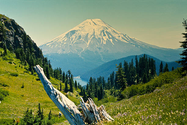 istock Mount Saint Helens Before the Eruption 155067909