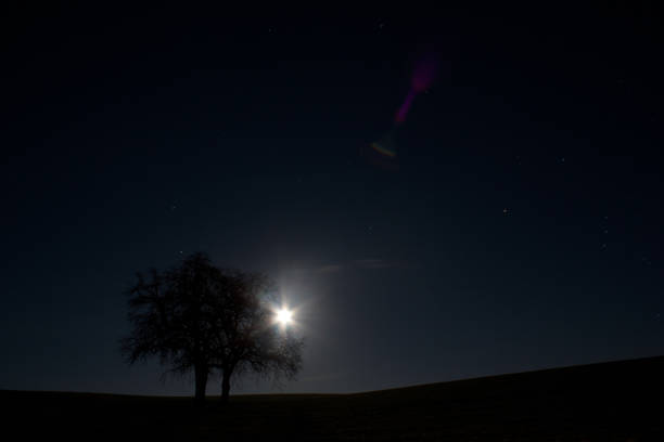 A captivating vertical image featuring the night sky with stars and a brightly shining moon peeking out behind a tree, creating a beautiful silhouette. The photo captures the mystical ambiance of the night