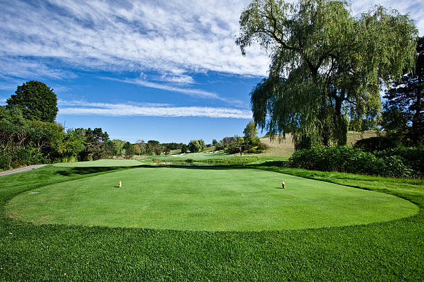 campo de golfe - tee box imagens e fotografias de stock