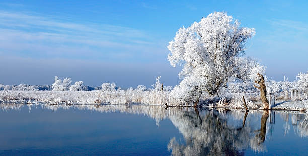 paisaje de invierno en havel río (alemania) - winterlandschaft brandenburg fotografías e imágenes de stock