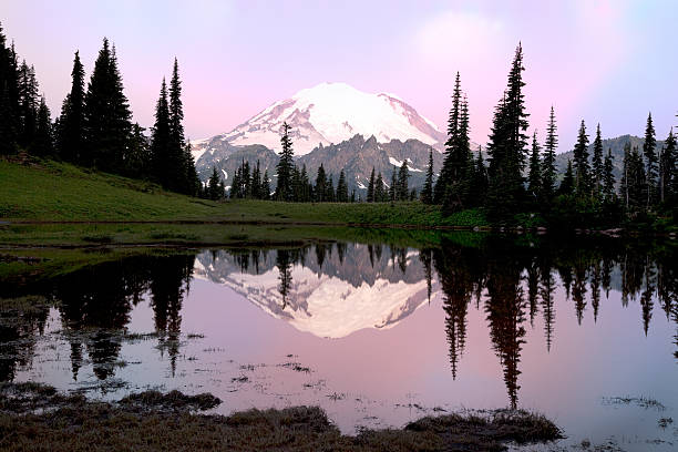 istock Mt. Rainier and Tipsoo Lake 155068962