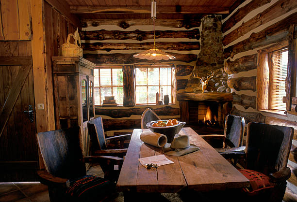 modern kitchen furniture in log cabin