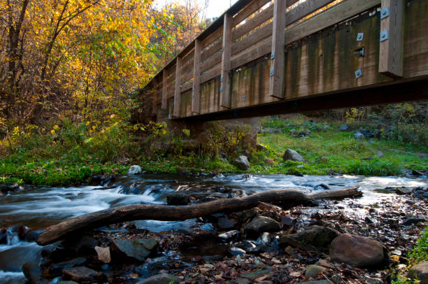 istock Foot bridge over a small creek 155070720