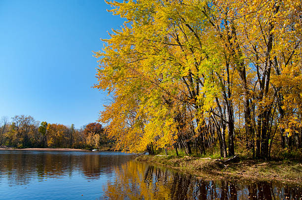 istock Autumn on the St. Croix River 155072925