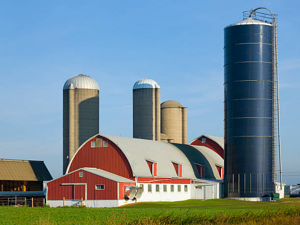 istock Rural Farm with Barn and Several Silos 155073500