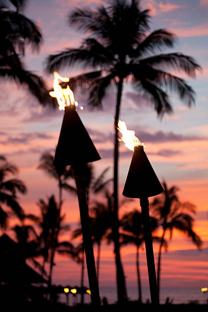 istock Tiki Torch Flames At Sunset 155073508