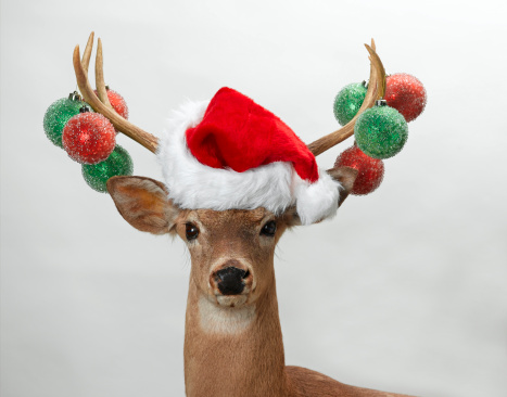 close-up of reindeer in a Christmas decor with Santa's sleigh in the background