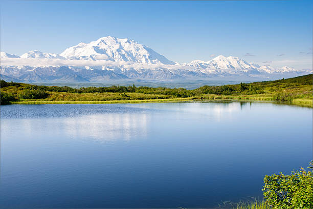 Morning Reflection stock photo