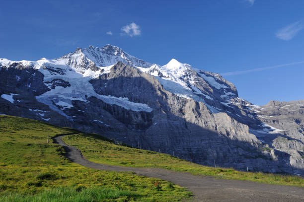 istock Hiking Trail in Swiss Alps 155074024