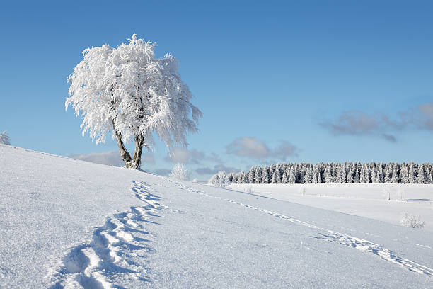 istock trail of footprints in snow 155074167