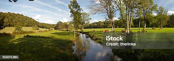 Landscape Near Langres Stock Photo - Download Image Now - France, Champagne Region, Cow