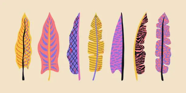 Vector illustration of Collection groovy tropical leaves. Hawaiian palm and banana leaves. Texture tiger, zebra, leopard. Botanical vector elements.