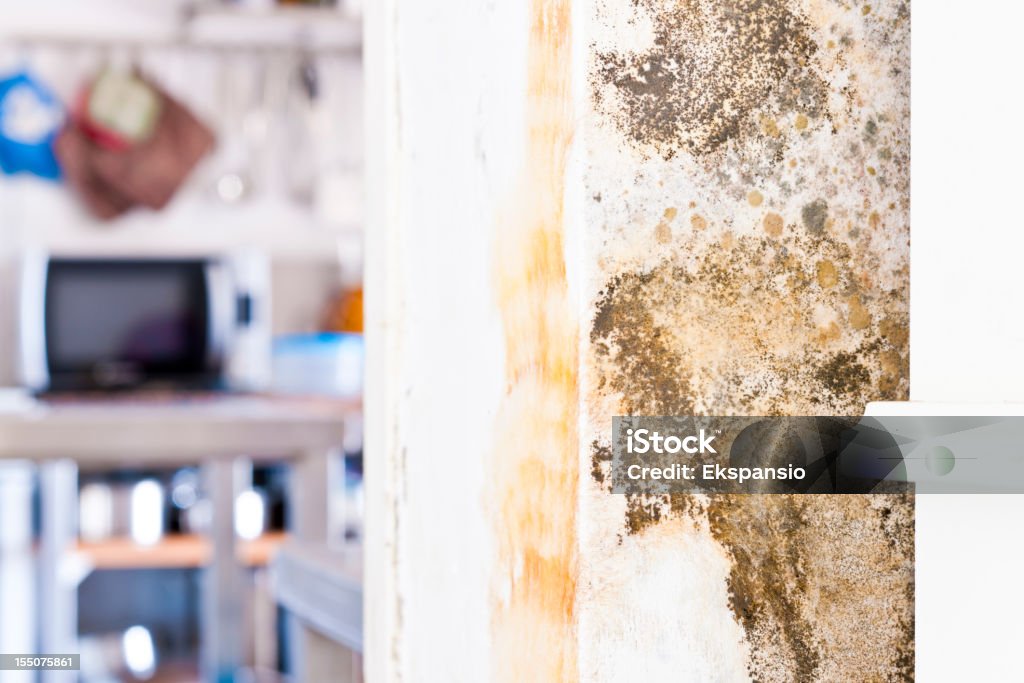 Mildew Mold Rotting Wall of Modern House behind Furniture  Damaged Stock Photo