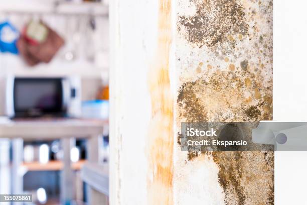 Mildew Mold Rotting Wall Of Modern House Behind Furniture Stock Photo - Download Image Now