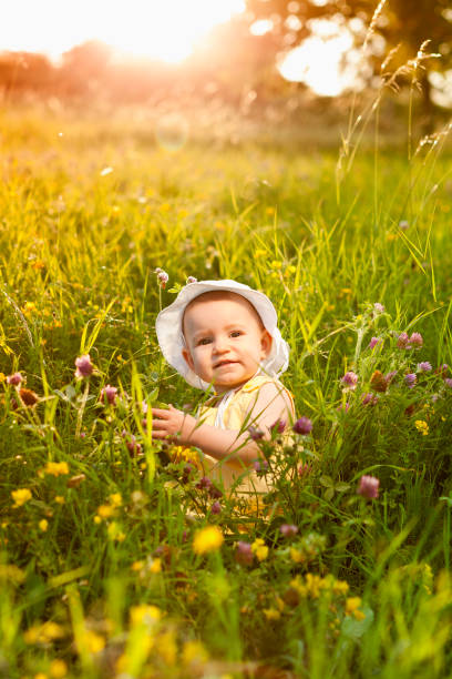 istock Baby girl on a summer meadow 155076078