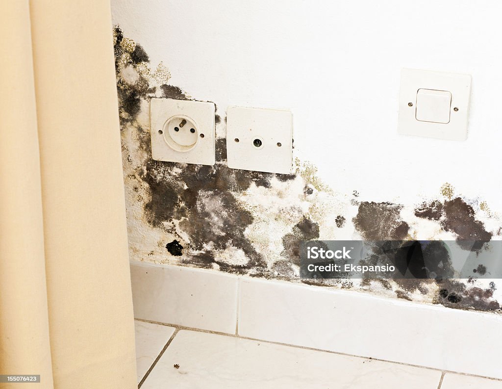 Molde la humedad y negro sobre pared con conectores hembra detrás de las cortinas de - Foto de stock de Moho toxigénico libre de derechos